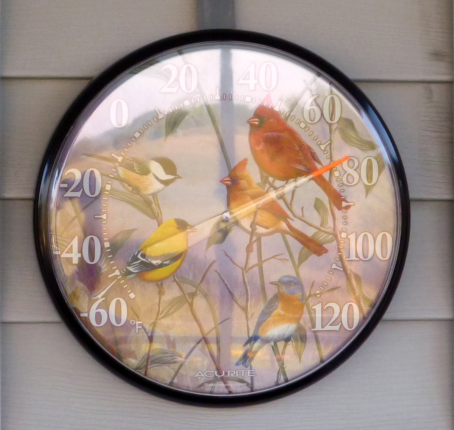 Bird Indoor Outdoor Thermometer from Loren