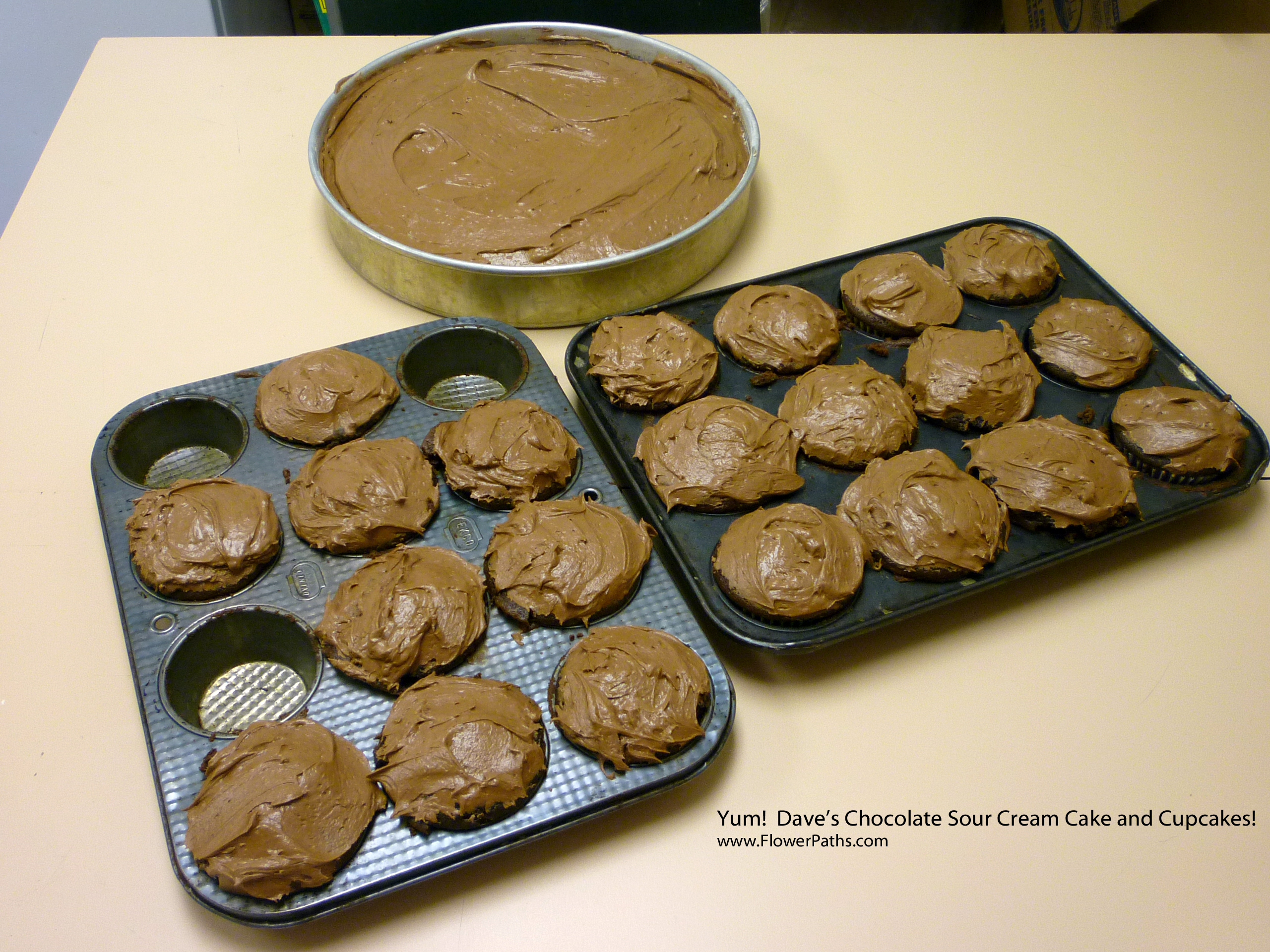 Dave's Chocolate Sour Cream Cake and Cupcakes