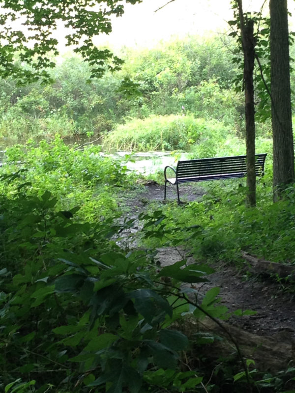 Bench by Lake to Rest Kleinrock August 2016