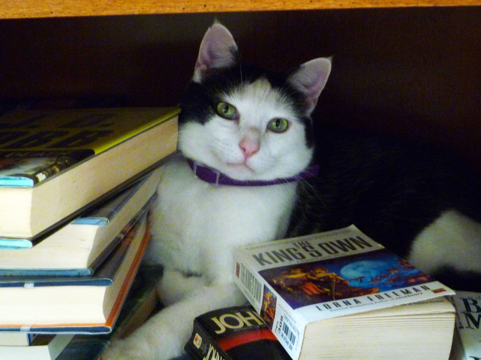 George Helping  on the Books Downstairs