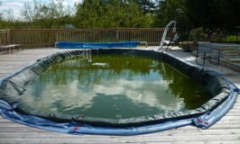 Pool Before Cleaning Up