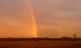 Rainbow Evening November 18, 2015