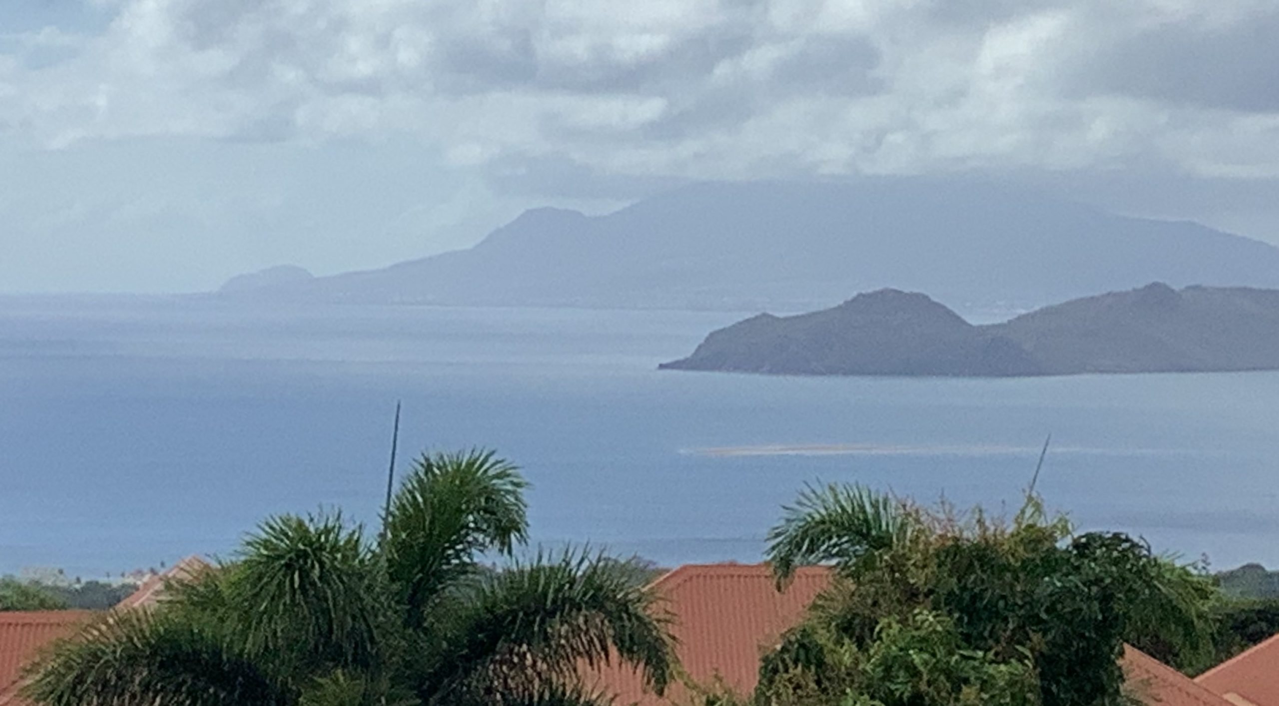 View from Our Back Porch on Misty Afternoon